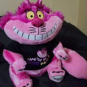 Alice and wonderland cat